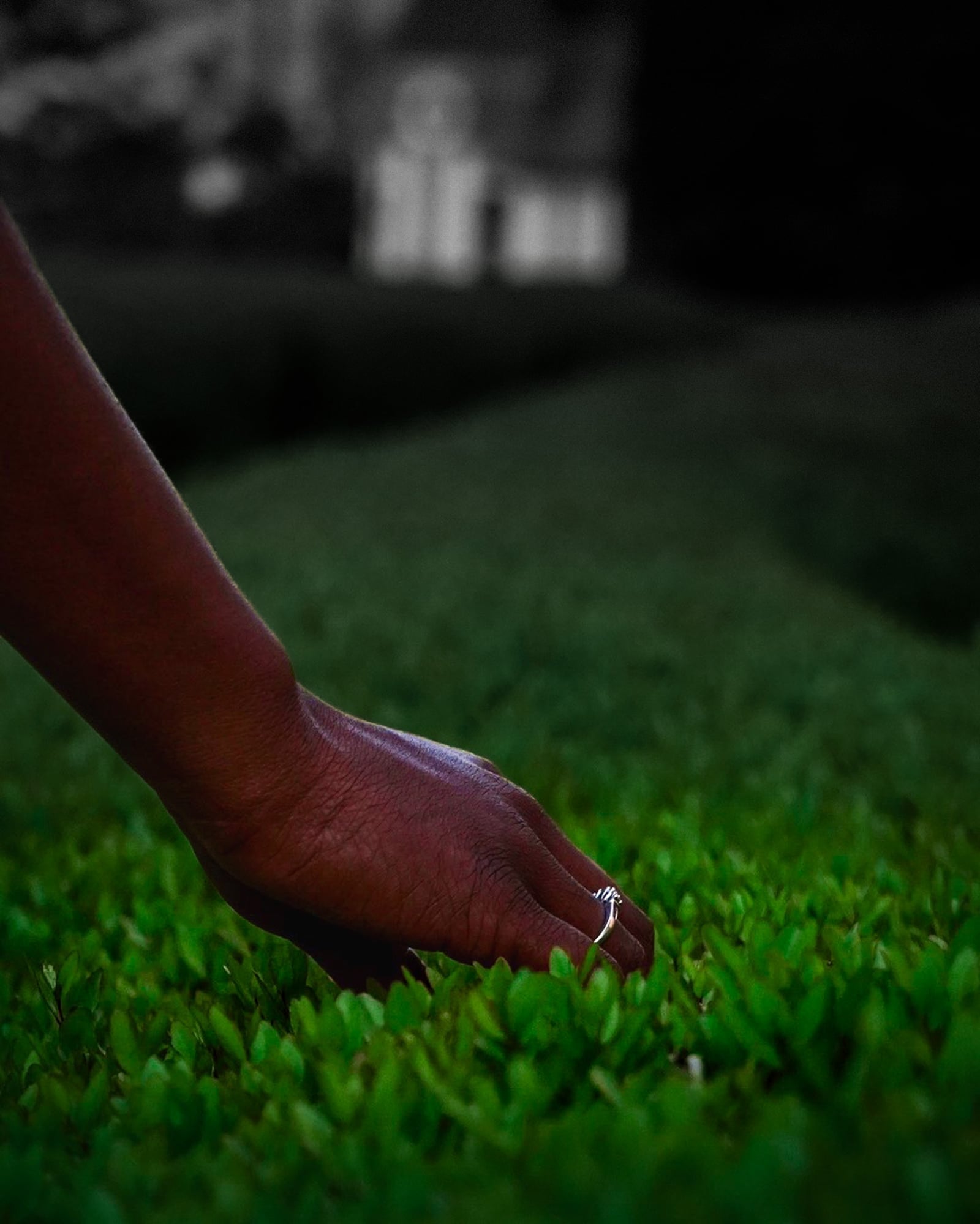 Grass Hand